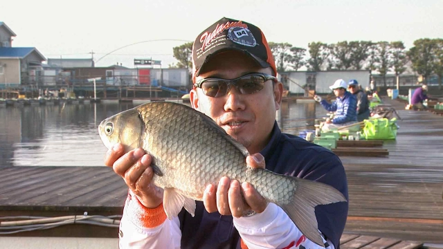 ヘラブナギャラリー 心躍る春 浮きと戯れる