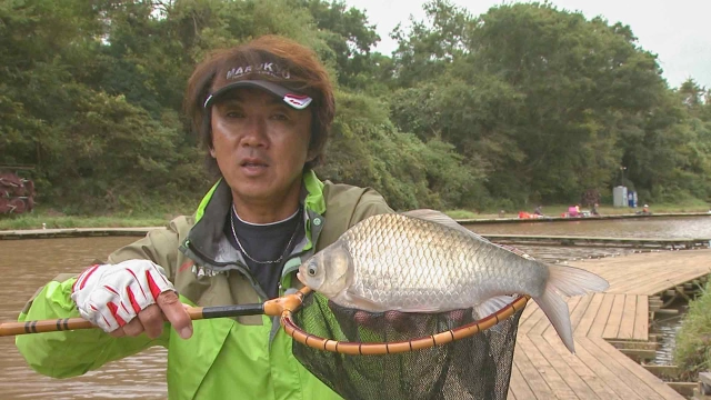 ヘラブナギャラリー