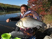 ヘラブナ漫遊記 其の六十二 愛知県佐屋川の野ベラ