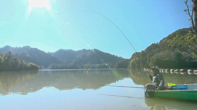 ヘラブナギャラリー