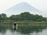 ヘラブナギャラリー 精進湖 富士の懐で夏を味わう