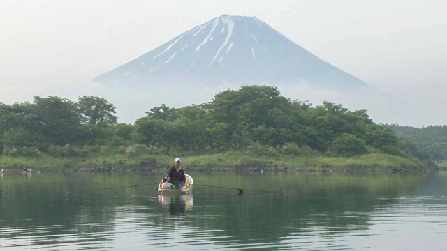 ヘラブナギャラリー
