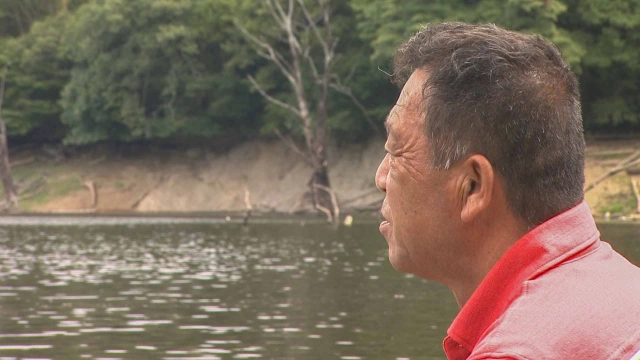 ヘラブナギャラリー