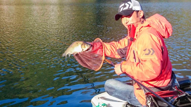 ヘラブナギャラリー