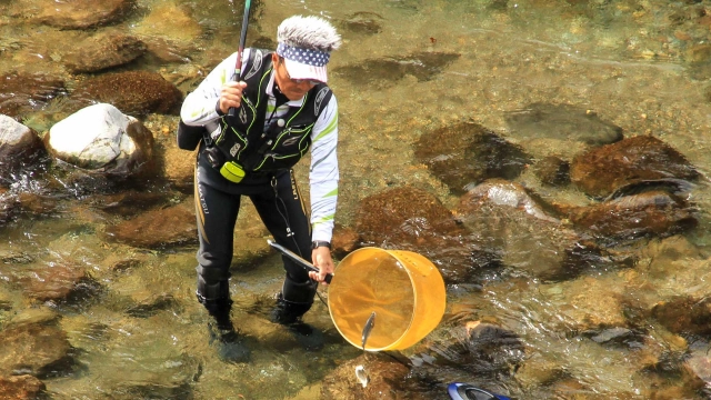 鮎2014 秋の狩野川に遊ぶ