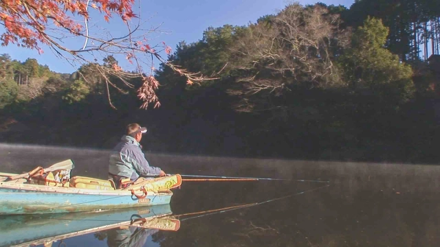 ヘラブナギャラリー