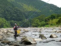 鮎2015 特別編集1 東日本編