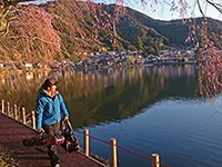 ヘラブナギャラリー 山里の野池で戯れる春