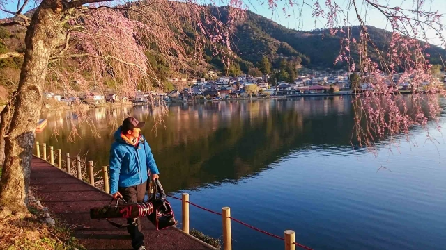 ヘラブナギャラリー 山里の野池で戯れる春