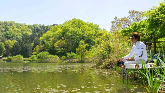 ヘラブナギャラリー