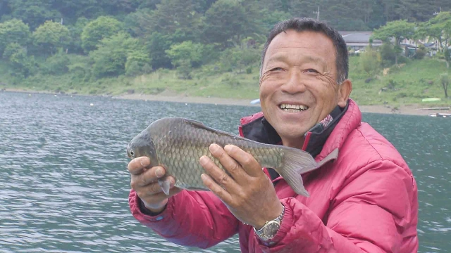 ヘラブナギャラリー