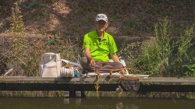 ヘラブナギャラリー