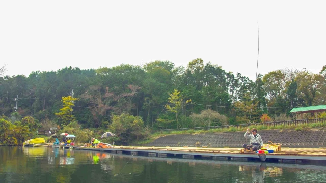 ヘラブナギャラリー