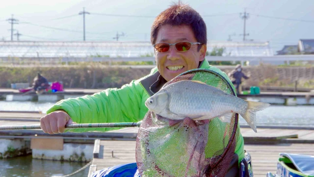 ヘラブナギャラリー