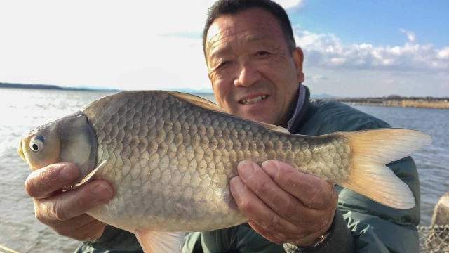 ヘラブナギャラリー 深宙 霞ヶ浦のっこみ前哨戦