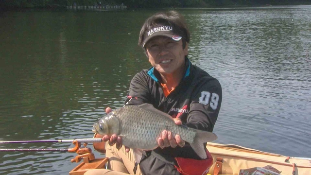 ヘラブナギャラリー 間瀬湖 初夏のチョウチン両ダンゴ