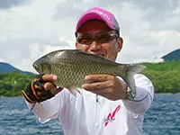 ヘラブナギャラリー 長竿で楽しむ夏の芦ノ湖