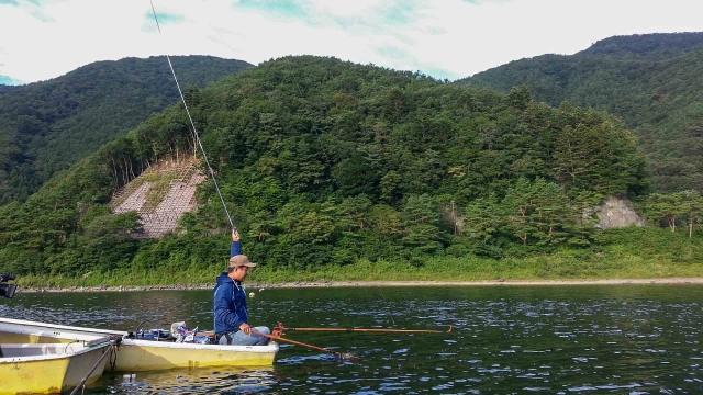 ヘラブナギャラリー 晩夏の山上湖に魅せられて