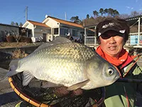 ヘラブナギャラリー 群馬県鮎川湖 真冬の新べら攻略