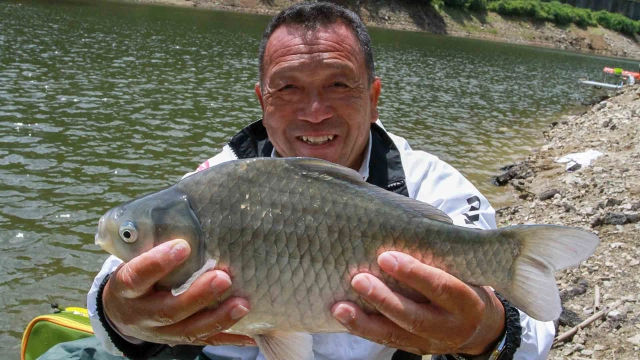 ヘラブナギャラリー 初夏の野釣り 室生ダムに魅せられて