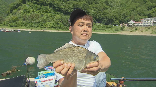 ヘラブナギャラリー 夏の精進湖 パズルに例えるチョーチン両ダンゴ