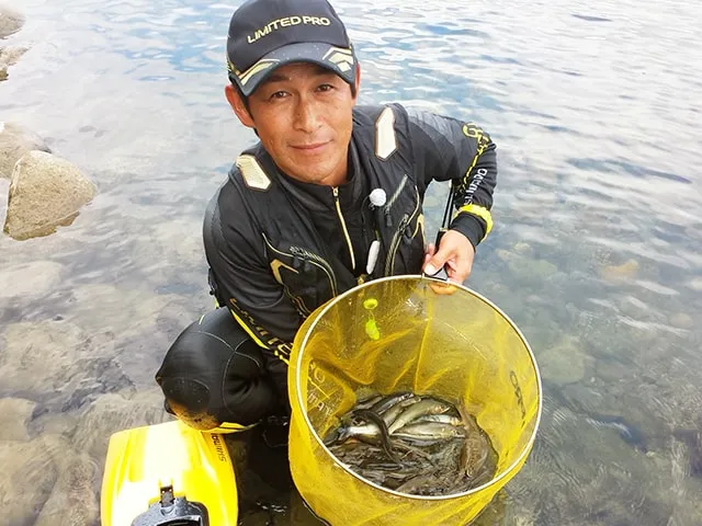 鮎2017 富山県神通川 爽快な瀬釣りを楽しむ