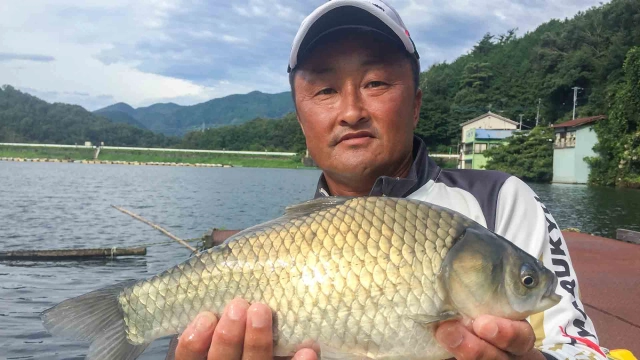 ヘラブナギャラリー 円良田湖 晩夏の両ダンゴ