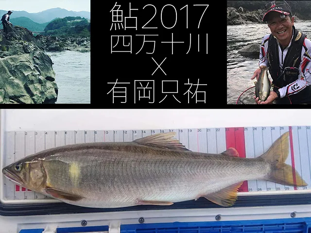 鮎17 大鮎四万十川スタイル 釣りビジョン 鮎17 大鮎四万十川スタイル 釣りビジョン
