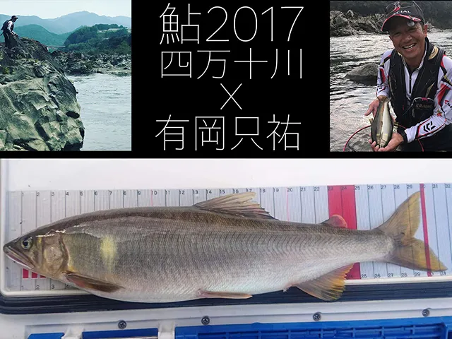 鮎2017 大鮎四万十川スタイル