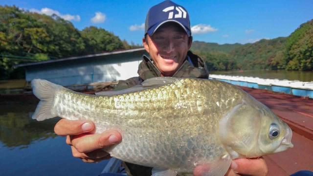 ヘラブナギャラリー 桟橋とボートで楽しむ、ダム湖の野釣り