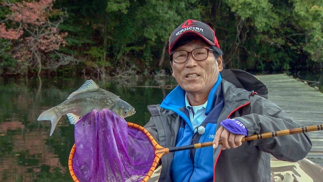 ヘラブナギャラリー 早霧湖で去り行く秋を惜しむ