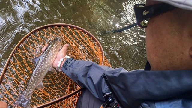 TROUT QUEST 15 北の大地を満喫！上りアメマスをクエスト