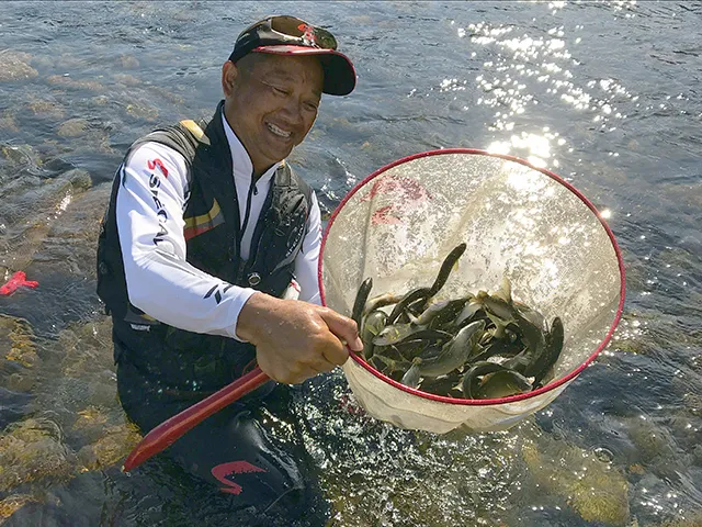 鮎2018 有岡只祐 The地元 安田川