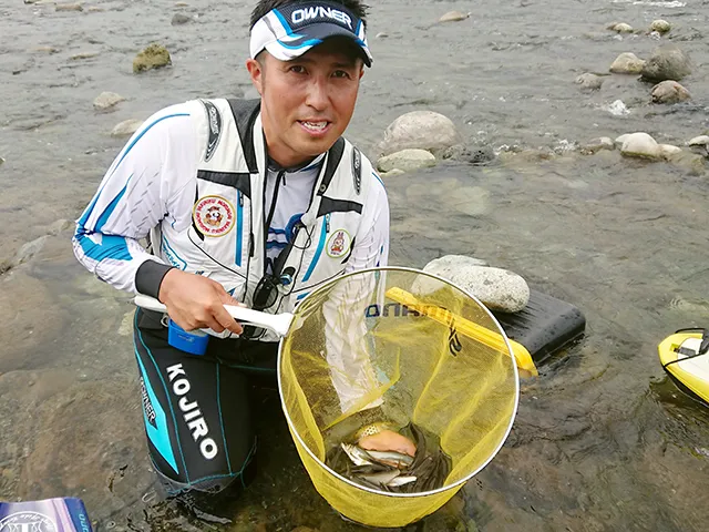 鮎2018 都心近郊に天然遡上あり 晩夏の酒匂川