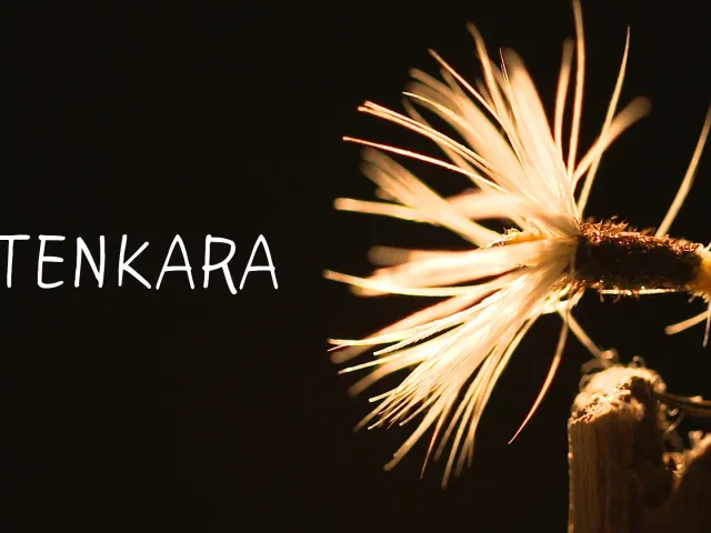 日本伝統の毛ばり釣り「TENKARA」（テンカラ）の魅力