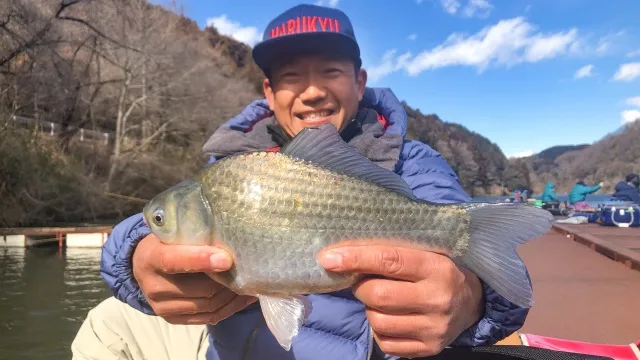 ヘラブナギャラリー 埼玉県円良田湖 恍惚の底釣り