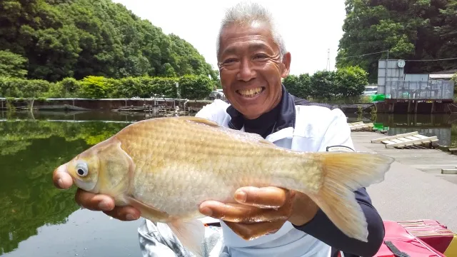 ヘラブナコンシェルジュ ＃1 梅雨・初夏のヘラブナ釣り その素敵な楽しみ方