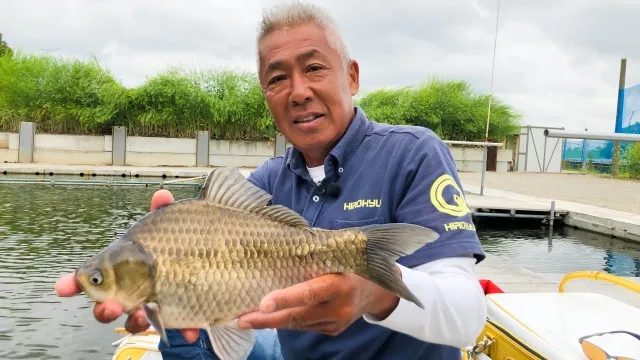 ヘラブナコンシェルジュ 5 そろそろいいんじゃない 初夏の浅ダナ両ダンゴ