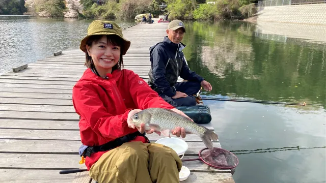 初心者目線で徹底解説！ヘラブナ釣りのキホンと魅力