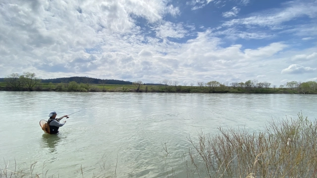 TROUT QUEST