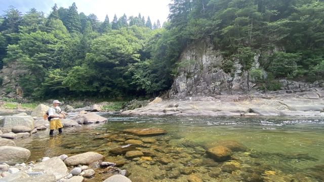 TROUT QUEST 31 岐阜県長良川の本流アマゴ