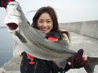 関西発！海釣り派 58　「冬到来？岸和田一文字でハネ釣りに挑戦！」