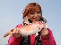 こちら東海です。 その54　高級魚アマダイが釣りたい！