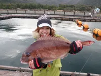 関西発！海釣り派 72 「茜香ちゃん大興奮！！冬の海上釣り堀を満喫」