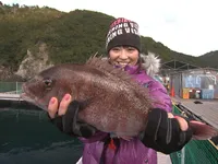 こちら東海です。 その67 海上釣り堀で高級魚を狙え！