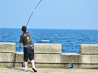 投げ釣りギャラリー  夏の島根県浜田沖 遠投カゴで狙うヒラマサ