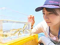 関西発！海釣り派 161「夏休み！家族と一緒に五目釣り！海釣り公園はやっぱりオモロイ」