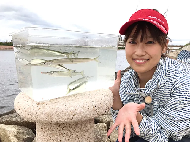 関西発！海釣り派 176 下アゴ長っ！兵庫・芦屋でサヨリ釣り！