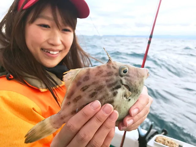 その179 はじめての船カワハギ！荒波でも釣れるし！