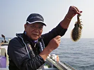 粋だね！江戸前の釣り 